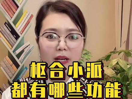 枢合小派都有哪些功能#平板学习机 #智能学习机 #ai学习机