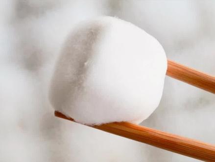 为什么发霉长毛的豆腐,还可以吃? #冷知识 #知识前沿派对