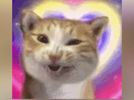 杨紫送我真花啦!#我的花园世界#玩游戏送真花#杨紫代言我的花园世界 #杨紫我的花园世界品牌代言人