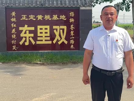 #乡村振兴 黄桃产业,助力东里双乡村振兴