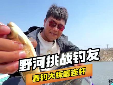 野钓鲫鱼有口打不到,口杂口乱怎么办 #野钓鲫鱼 #野钓技巧 #钓鱼的乐趣只有钓鱼人懂