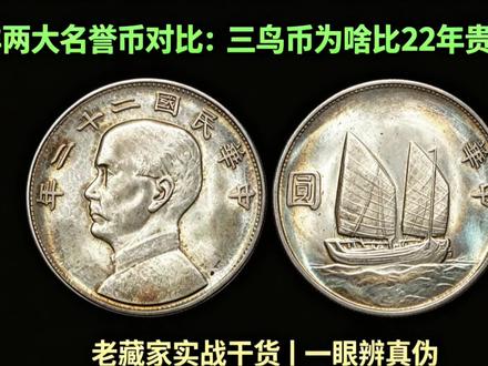 同样是船洋,三鸟币身价暴涨的真相,对比22年标准版一看就懂 #古钱币 #银元 #袁大头 #文玩收藏 #钱币收藏 @抖音小助手
