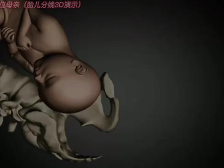 胎儿分娩过程3D动画演示。#只有经历过的人才会懂 #胎儿分娩过程#胎儿#十月怀胎#视频推荐
