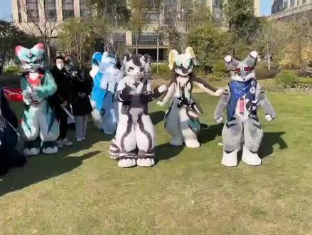三个跳舞大佬#furr兽人 #跳舞 #兽装fursuit