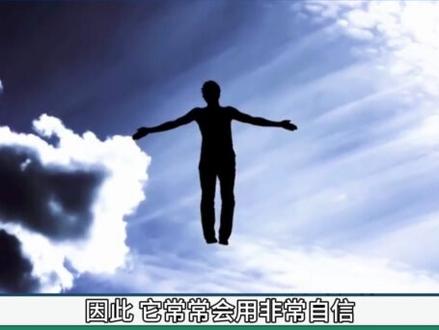 超实用的chat GPT使用经验总结,助你与chat GPT正确对话!#人工智能 #科技 #芯片 #5g #chatgpt