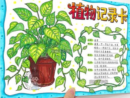 植物记录卡手抄报|三年级下册植物记录卡 🈶电子版线稿,主页置顶视频获取哦
🉑打印涂色,轻松交作业啦
🈲商用二改,🈲抄袭搬运
#植物记录卡 #植物记录卡绿萝 #三年级下册植物记录卡 #植物手抄报 #绿萝手抄报