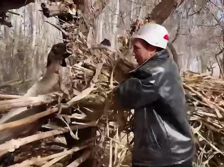 顺手牵羊要不得,警察蜀黍找上你…… #热点 #警察 #普法小剧场