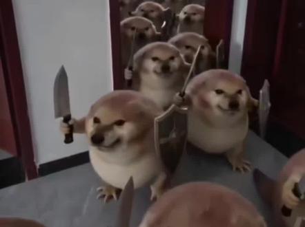 我的刀盾大军视频教程来啦!#剪映 #我的刀盾#萌宠 #表情包我的刀盾 我的刀盾小狗,我的刀盾奶龙,我的刀盾原视频,我的刀盾比比拉卜八嘎呀路歪比巴卜,我的刀盾特效,我的刀盾入侵,我的刀盾图片,我的刀盾dj,我的刀盾是什么意思