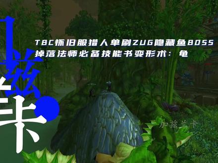 3天一本乌龟书,TBC怀旧服猎人单刷ZUG隐藏鱼boss#我们比别人多一个世界