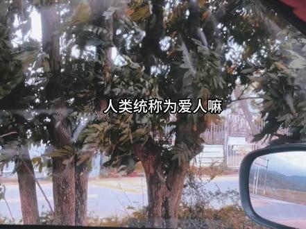 麦麦一想到程凛以后会结婚有自己的爱人又伤心了呜呜呜💔#于是麦麦决定离家出走 #广播剧 #程凛 #麦麦#猫耳FM