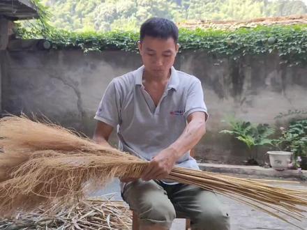 农村随处可见的芦苇,大叔采回来做扫把,经济又实用,想学做的来看看。#农村 #农村生活
