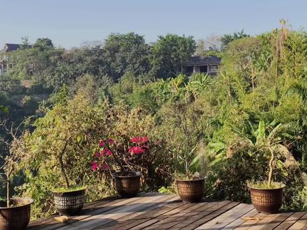 #张艺兴 @张艺兴 珍珠会藏于贝类,小贝壳也懂得守护大珍珠。