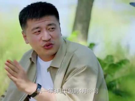 天呐,张雪峰每年3-4月就睡4个小时,白天赶路,晚上讲课大半夜搜信息!成为教育头部是一点一点熬出来的#张雪峰