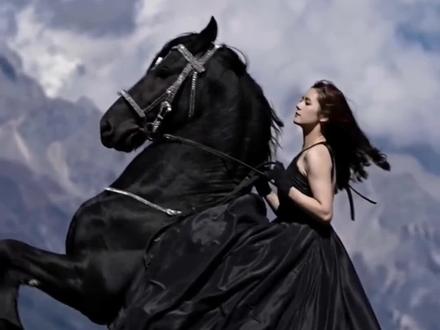 马年分享这几种马,祝各位朋友财运亨通,马上暴富!#马年大吉 #科普 #马上暴富 #马上成功