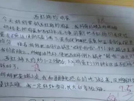 西红柿炒鸡蛋#作文#四年级上册语文 #西红柿炒鸡蛋