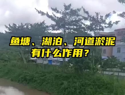 鱼塘、湖泊、河道淤泥有什么用?看完你就明白了! #车载式压滤机 #移动式压滤机 #河道淤泥处理设备 #营养土 #有机肥