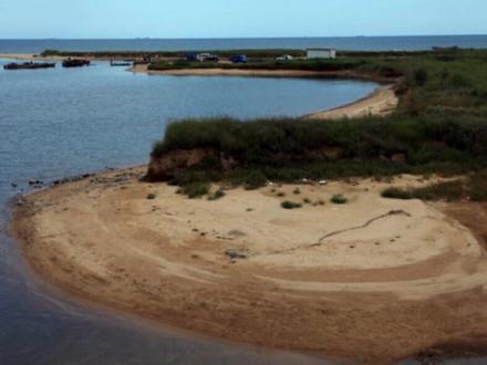 沙尖鱼习性#钓鱼 #附近人 #@抖音小助手 @DOU+小助手 @叶子