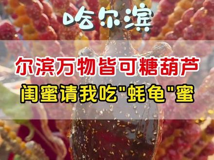 现在来哈尔滨1119一个人,点头像来直播间了解一下!#哈尔滨#旅行推荐官#哈尔滨旅游攻略#东北旅游#哈尔滨冰雪大世界