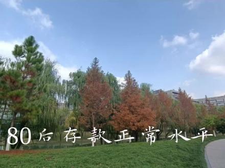 大家都说说你们是那个水平!#收入 #80后存款标准表