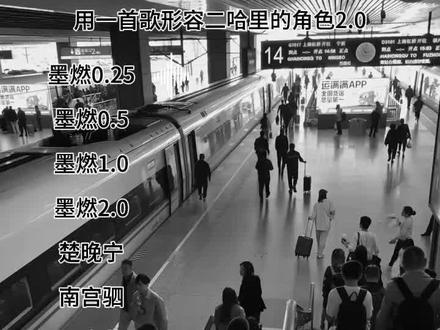 是谁定制的2.0#二哈和他的白猫师尊#歌曲 #燃晚 私心#双梅蒙#驷叶