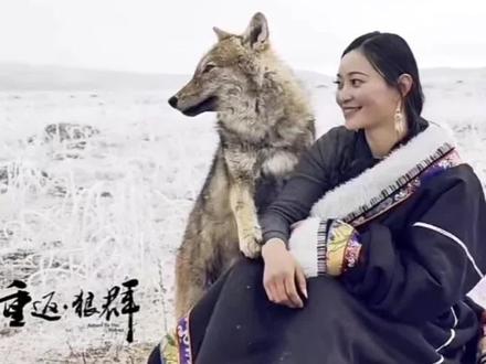 #dou上热门 #《重返狼群》主题曲完整版
#动物世界看人生百态