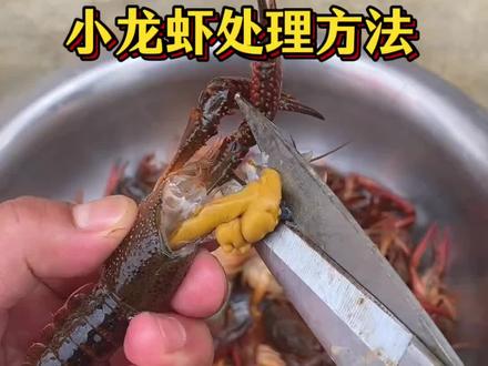 小龙虾清理方法#小龙虾清理方法 #生活技巧