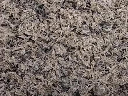 馇麻线的教程来了!喜欢您就给我点个赞吧!#传统美食 #渔家菜 #舌尖上的美食