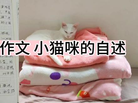 五年级作文,小猫咪的自述,我家可爱的小雪糕,捡来的流浪猫。#流浪猫领养 #流浪猫变家猫 #流浪猫逆袭 #写作文的技巧 #小学生作业