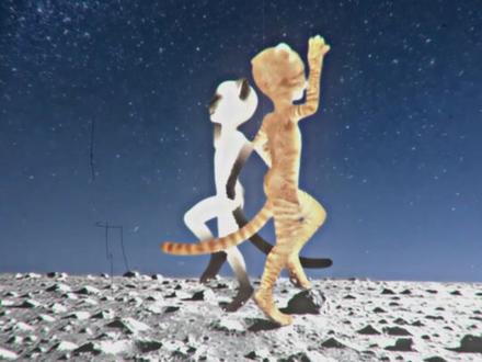 封面已设,好友你始终慢我一步 #抽象 #猎奇 #歌曲小模样2025版