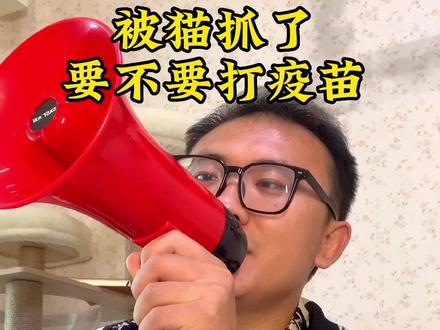 被猫抓伤了还要打疫苗吗#科学养宠攻略 #养猫人 #养猫新手 #猫