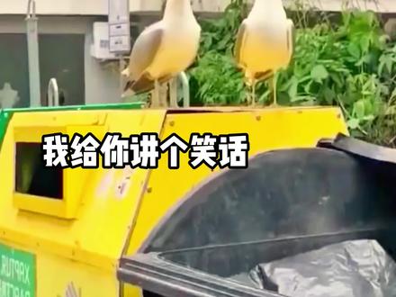 这个笑话太好笑了 #搞笑配音 #动物的迷惑行为 #动物搞笑视频