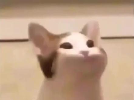 #迈从G87V2 #迈从G87 #闭眼入迈从 #迈从 #机械键盘