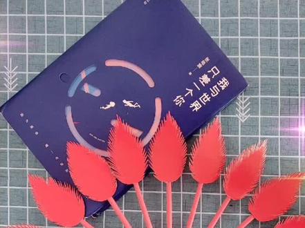 自制的诸葛羽扇,诸位诸葛请笑纳!#手工达人 #手工教程 #抖音小助手