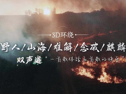 当【野人+山海+难解+念破+麒麟】相撞,居然毫无违和感? 野人跟山海也太合了吧,这是一首歌还是五首歌?左右耳歌曲记得戴耳机哦#串烧 #歌曲串烧 #翻唱 #双声道 #水禹