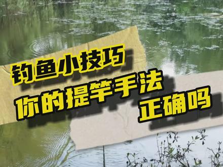 提竿刺鱼手法!#钓鱼 #野钓 #dou是钓鱼人 @抖音小助手