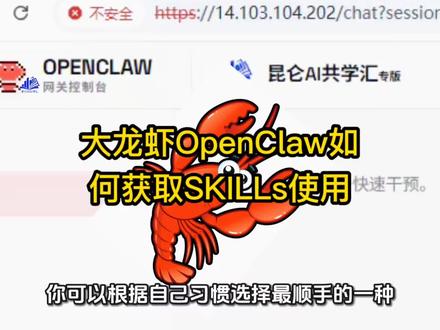 大龙虾OpenClaw如何获取SKILLs使用