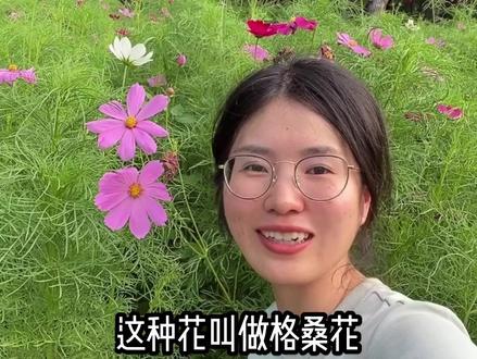 在野外,偶遇一片花海~ 柳暗花明又一村#东北返乡青年的日常 #花海