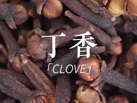 丁香-桃金娘科蒲桃属热带植物丁香树的干燥花蕾。可做香料或药用。#丁香