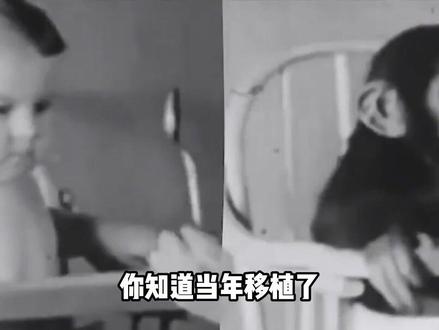 人能移植动物心脏吗?成功移植“狒狒心脏”的女婴,最后活了多久?#科学科普 #心脏移植 #狒狒心脏 #寿命