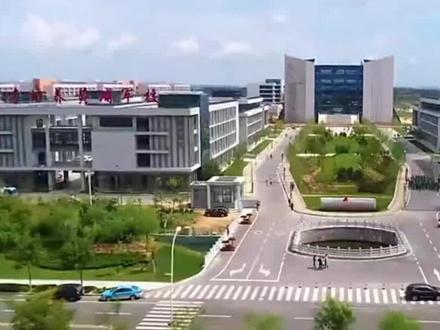 有反应说来这里考试还送瓷器的?谁知道真的假的?每天三查还要打扫卫生区,谁懂啊 #山东铝业职业学院 #校园 #山东高校 #校内生活