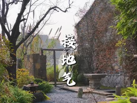 造园就是要接地气 懂得留出地气的庭院,才是真正藏着高级的贵气#宋式禅意庭院 #中式禅意庭院 #造园 #院子改造 #庭院设计