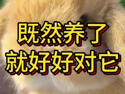 万物皆空,因果不空