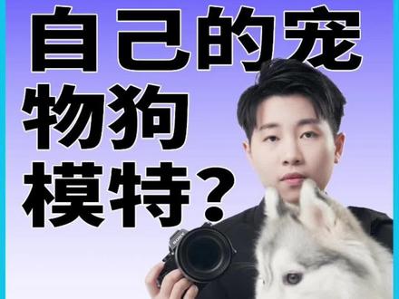 邻居家的小狗去当模特了,我家的也可以吗?#萌宠出道计划 #宠物摄影教学 #怎么给小狗拍照 #拍摄技巧 #宠物训练