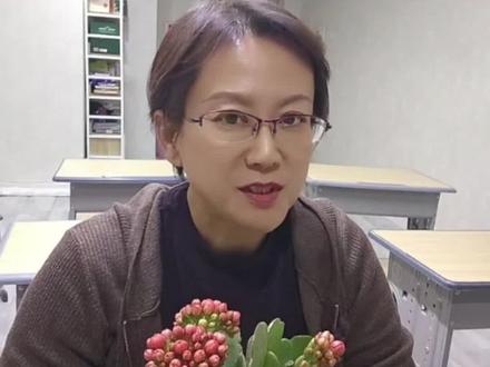 长寿花#我的植物朋友#三年级下册 #同步作文全程指导 #卢老师讲作文