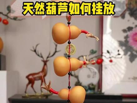 你知道天然葫芦如何挂放吗#天然葫芦 #葫芦福禄 #挂饰挂件 #葫芦文化 #康聚如旗舰店