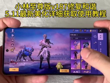 小林至尊版v187修复和谐
5.11 最新美化详细获取使用教程#小林美化
