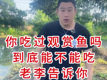 你吃过观赏鱼吗 锦鲤鱼到底能不能吃 #锦鲤 给你一个正面回复#锦鲤鱼池 #庭院鱼池