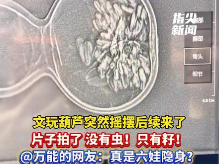 文玩葫芦突然摇摆后续来了
片子拍了 没有虫!只有籽!
@万能的网友:真是六娃隐身?
(编辑 孟雪 责编 王牡丹)@倔犟了半生 #葫芦 #万万没想到 #文玩葫芦 #有点意思