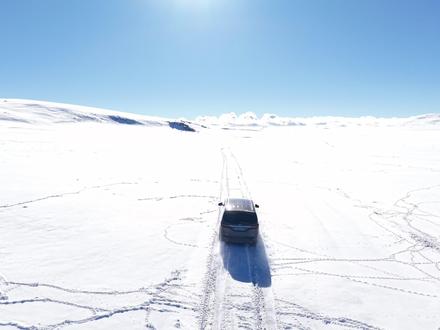 用生命树旁白打开可可西里无人区和羌塘无人区。没有巡山队就没有现在的生态美景,敬索南达杰和原巡山队!#生命树 #时常被生命树感动 #藏羚羊 #羌塘无人区 #可可西里