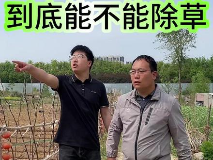 杂草最怕的不是草甘磷和草胺磷 更不能用食盐#果园管理